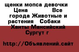 щенки мопса девочки › Цена ­ 25 000 - Все города Животные и растения » Собаки   . Ханты-Мансийский,Сургут г.